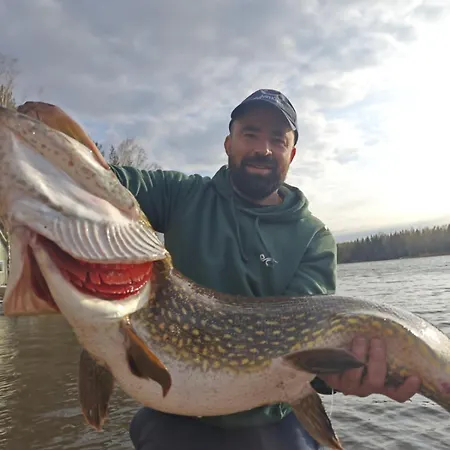 Viardo ヴィラ Vehkataipale