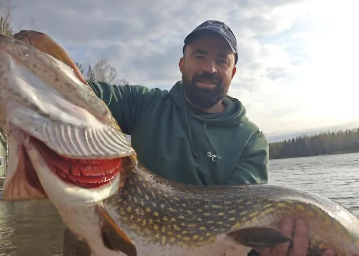 Viardo 别墅 Vehkataipale