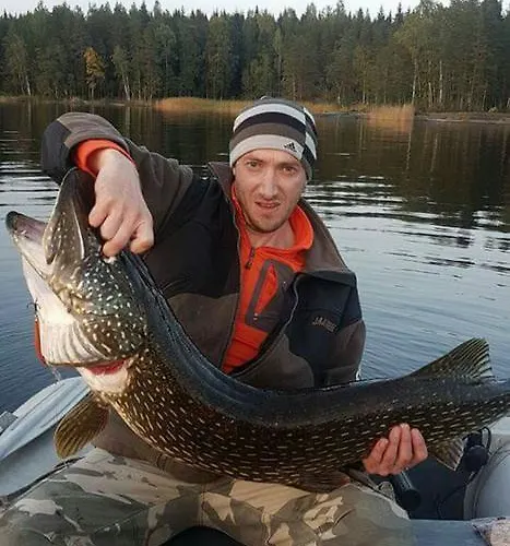 Viardo 别墅 Vehkataipale